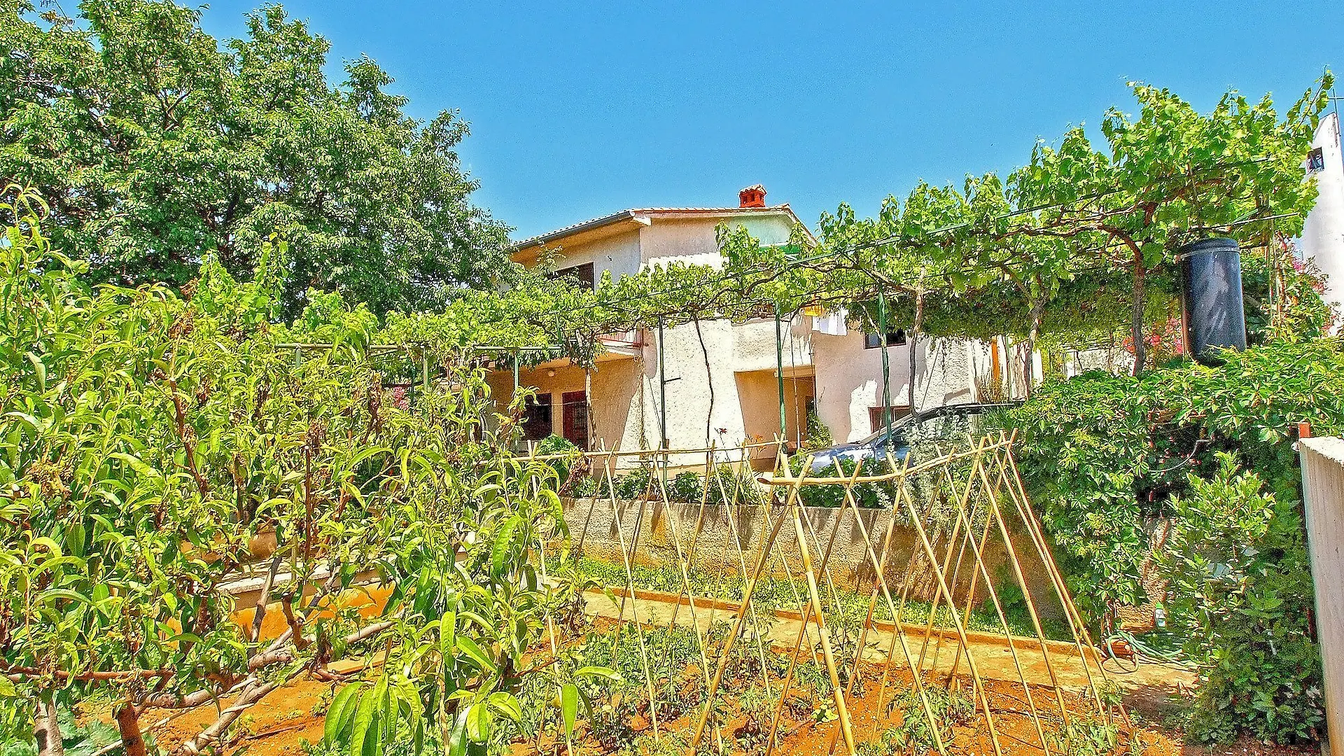 Apartments Celine 606 Pjescana Uvala Chorvatsko